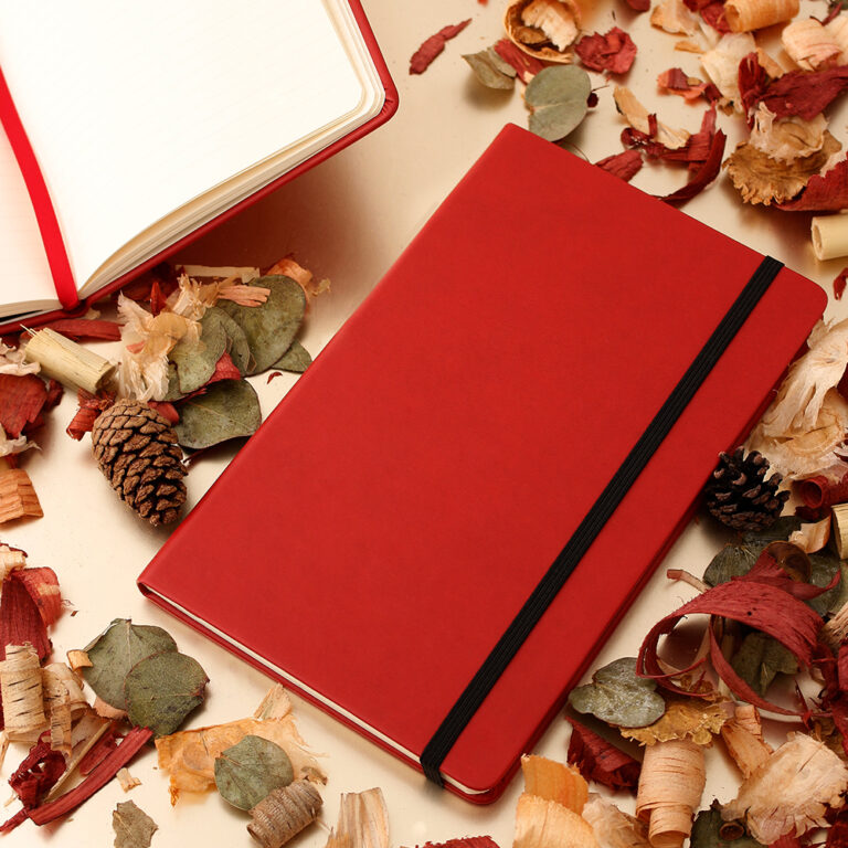 Libreta Skin ambientada